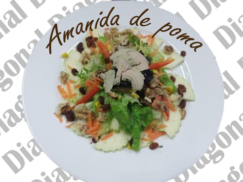 Plat restaurant diagonal 1