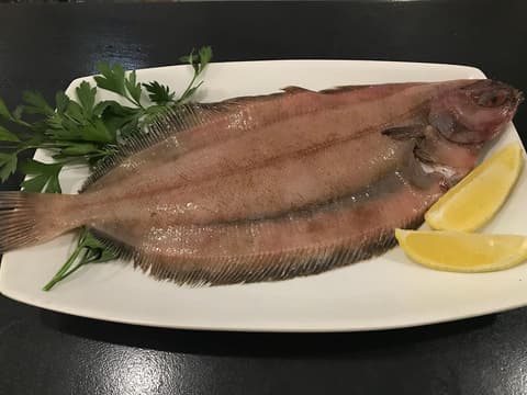 Plat restaurant diagonal 21